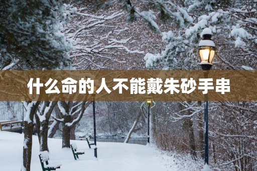 什么命的人不能戴朱砂手串