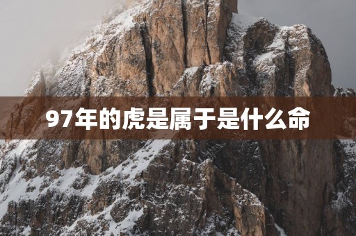 97年的虎是属于是什么命