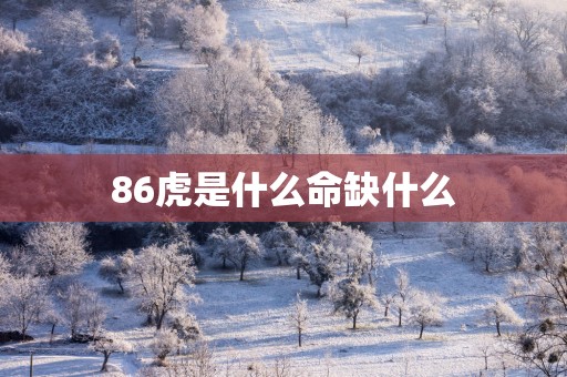 86虎是什么命缺什么