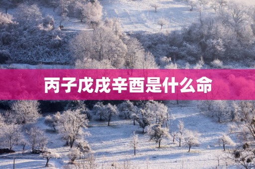 丙子戊戌辛酉是什么命