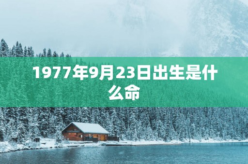 1977年9月23日出生是什么命