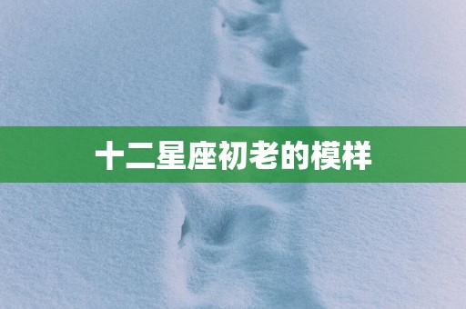 十二星座初老的模样