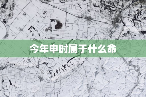 今年申时属于什么命