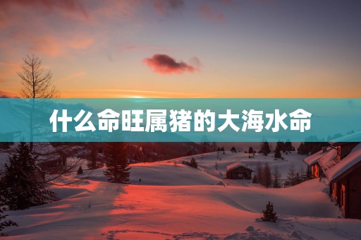 什么命旺属猪的大海水命