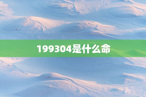 199304是什么命