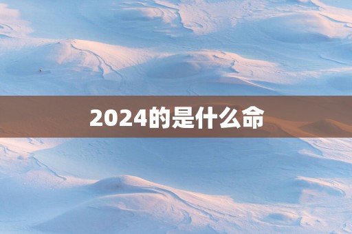 2025的是什么命