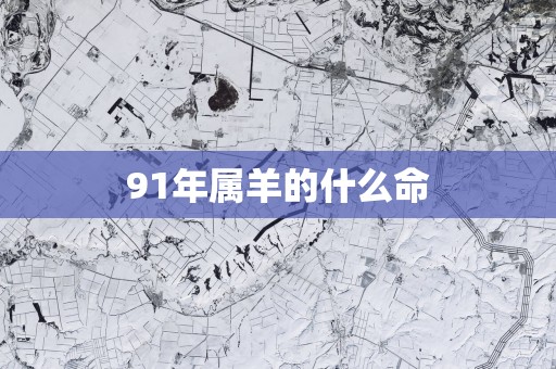 91年属羊的什么命