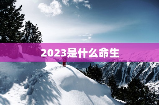 2025是什么命生