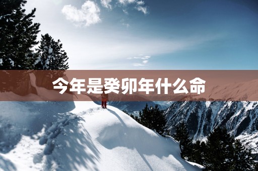今年是癸卯年什么命