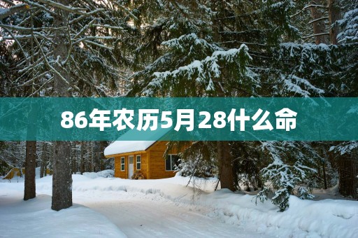 86年农历5月28什么命