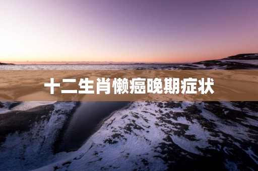 十二生肖懒癌晚期症状