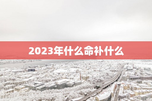 2025年什么命补什么