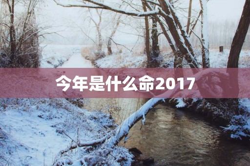 今年是什么命2017