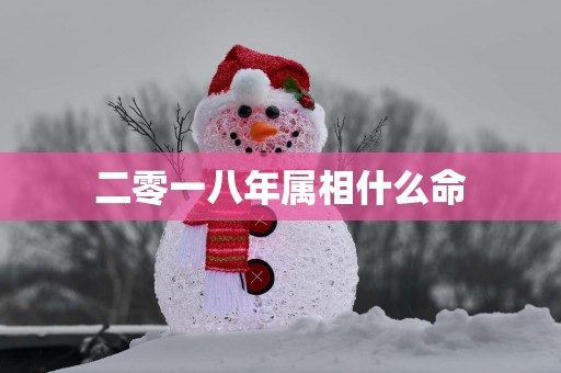 二零一八年属相什么命