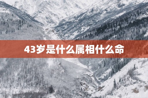 43岁是什么属相什么命