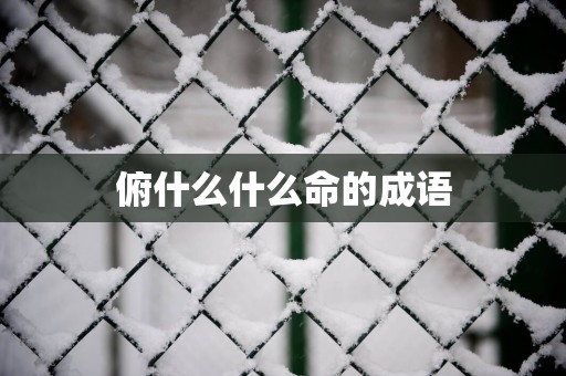 俯什么什么命的成语