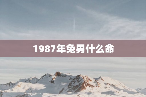 1987年兔男什么命