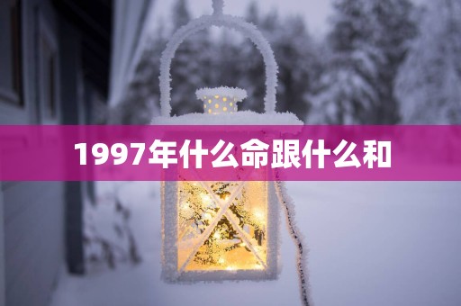 1997年什么命跟什么和