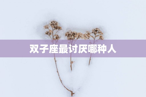 双子座最讨厌哪种人