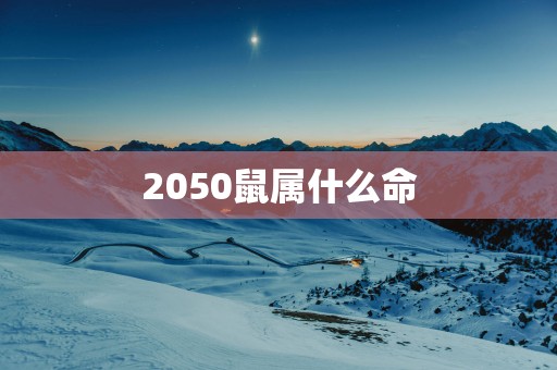 2050鼠属什么命
