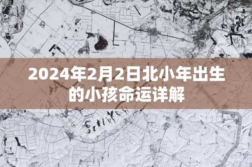2025年2月2日北小年出生的小孩命运详解