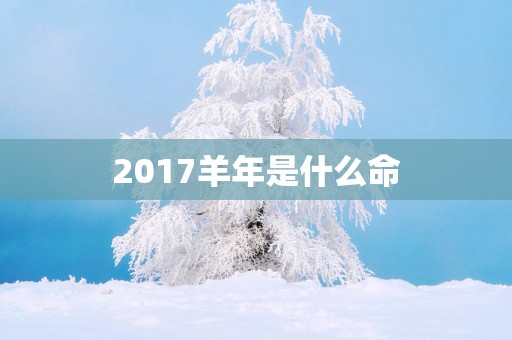 2017羊年是什么命