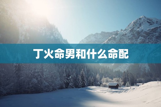 丁火命男和什么命配