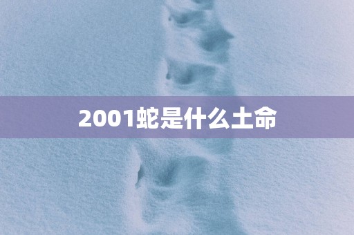 2001蛇是什么土命