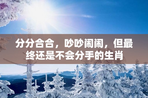 分分合合，吵吵闹闹，但最终还是不会分手的生肖