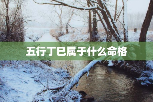 五行丁巳属于什么命格