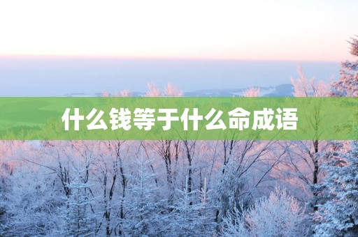 什么钱等于什么命成语