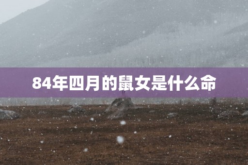 84年四月的鼠女是什么命