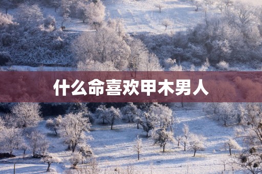 什么命喜欢甲木男人