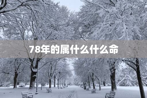 78年的属什么什么命