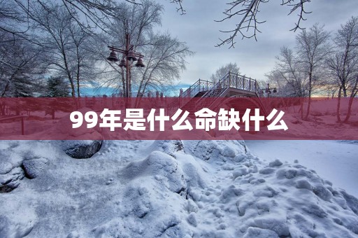 99年是什么命缺什么