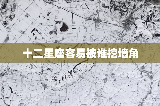 十二星座容易被谁挖墙角