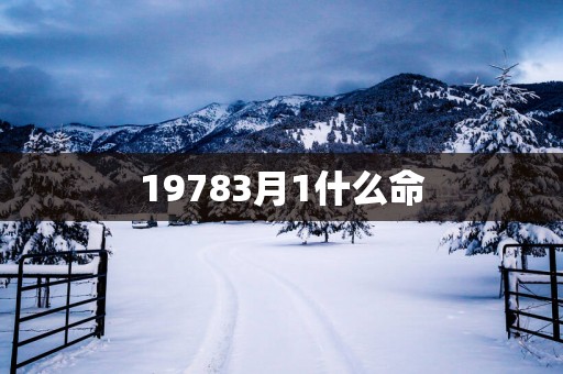 19783月1什么命