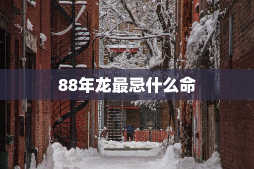 88年龙最忌什么命