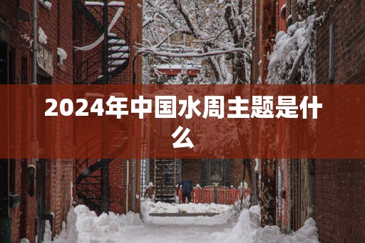 2025年中国水周主题是什么