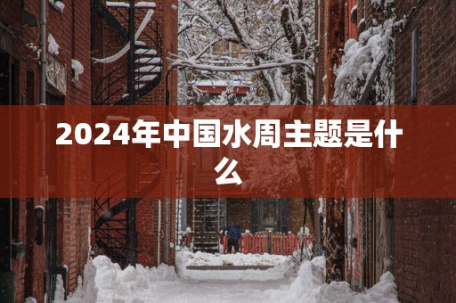 2024年中国水周主题是什么