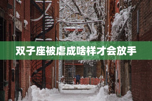 双子座被虐成啥样才会放手