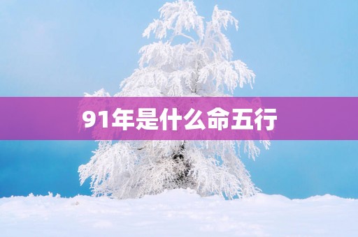 91年是什么命五行 91年是什么命五行