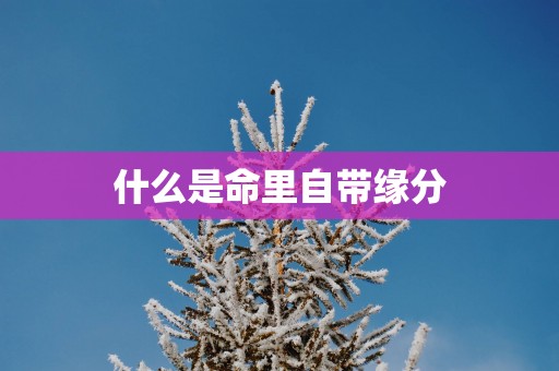 什么是命里自带缘分