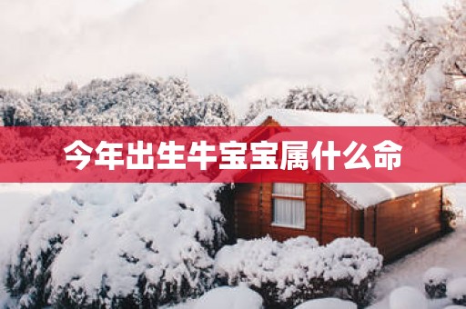 今年出生牛宝宝属什么命