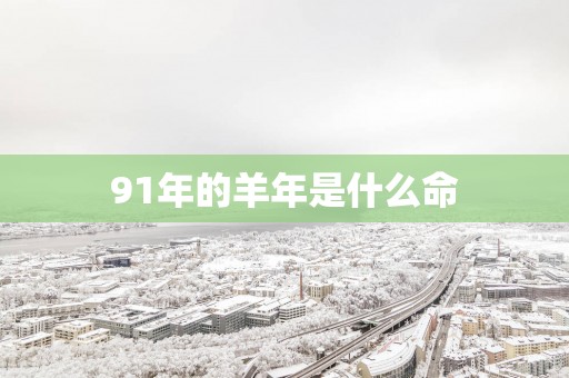 91年的羊年是什么命