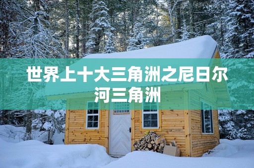 世界上十大三角洲之尼日尔河三角洲