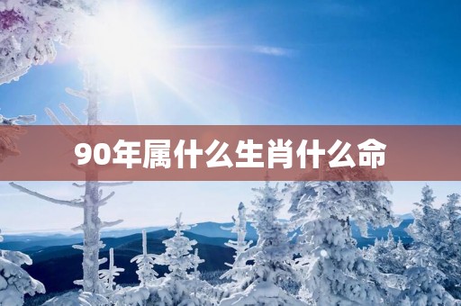 90年属什么生肖什么命