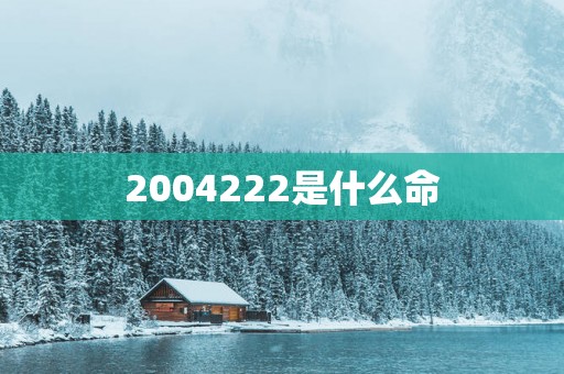 2004222是什么命