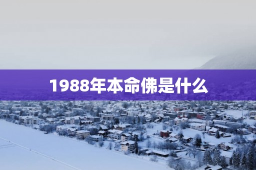 1988年本命佛是什么