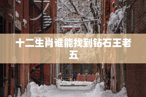 十二生肖谁能找到钻石王老五